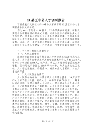 XX县区非公人才调研报告