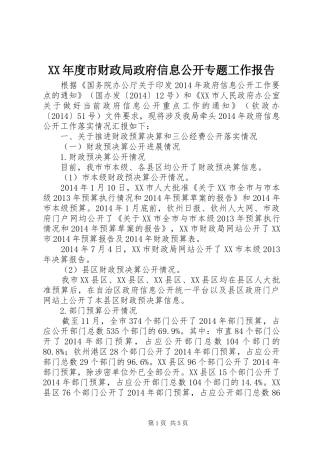 XX年度市财政局政府信息公开专题工作报告