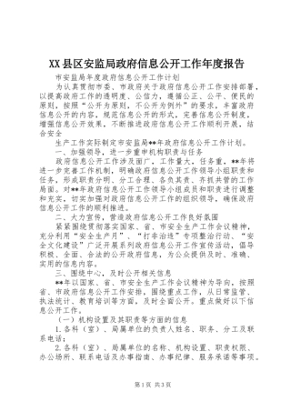 XX县区安监局政府信息公开工作年度报告
