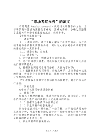 “市场考察报告”的范文