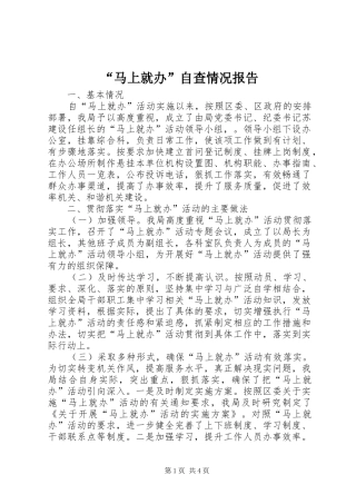 “马上就办”自查情况报告