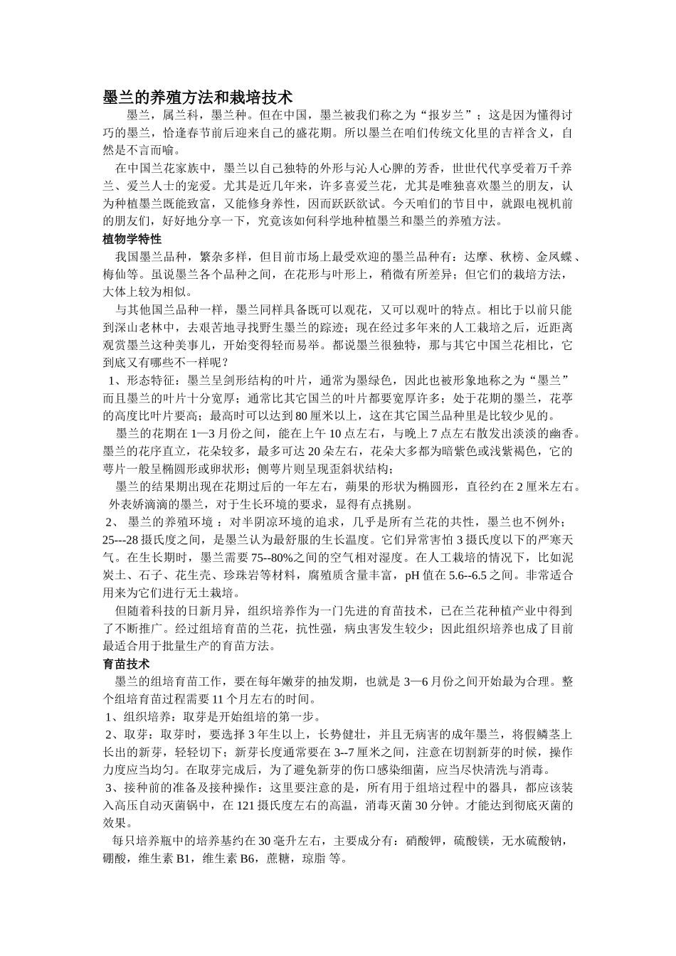 墨兰的养殖方法和栽培技术_第1页