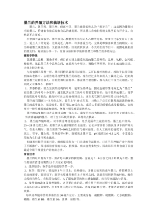 墨兰的养殖方法和栽培技术