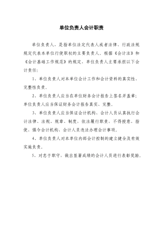 会计人员岗位责任制 Microsoft Word 文档