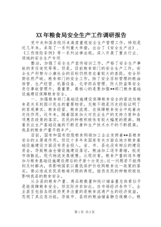 XX年粮食局安全生产工作调研报告