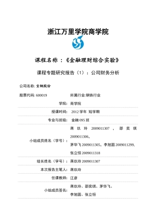 某钢铁股份财务分析报告