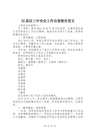 XX县区三中安全工作自查报告范文