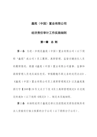 经济责任审计工作实施细则