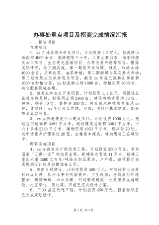 办事处重点项目及招商完成情况汇报