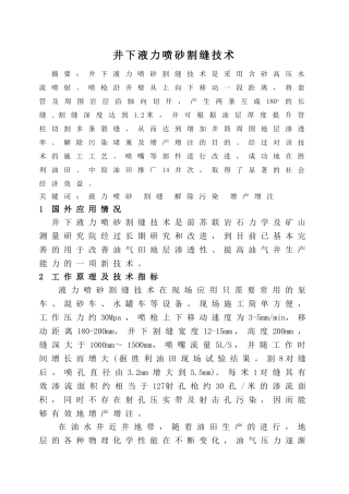 井下液力喷砂割缝技术(余金陵)