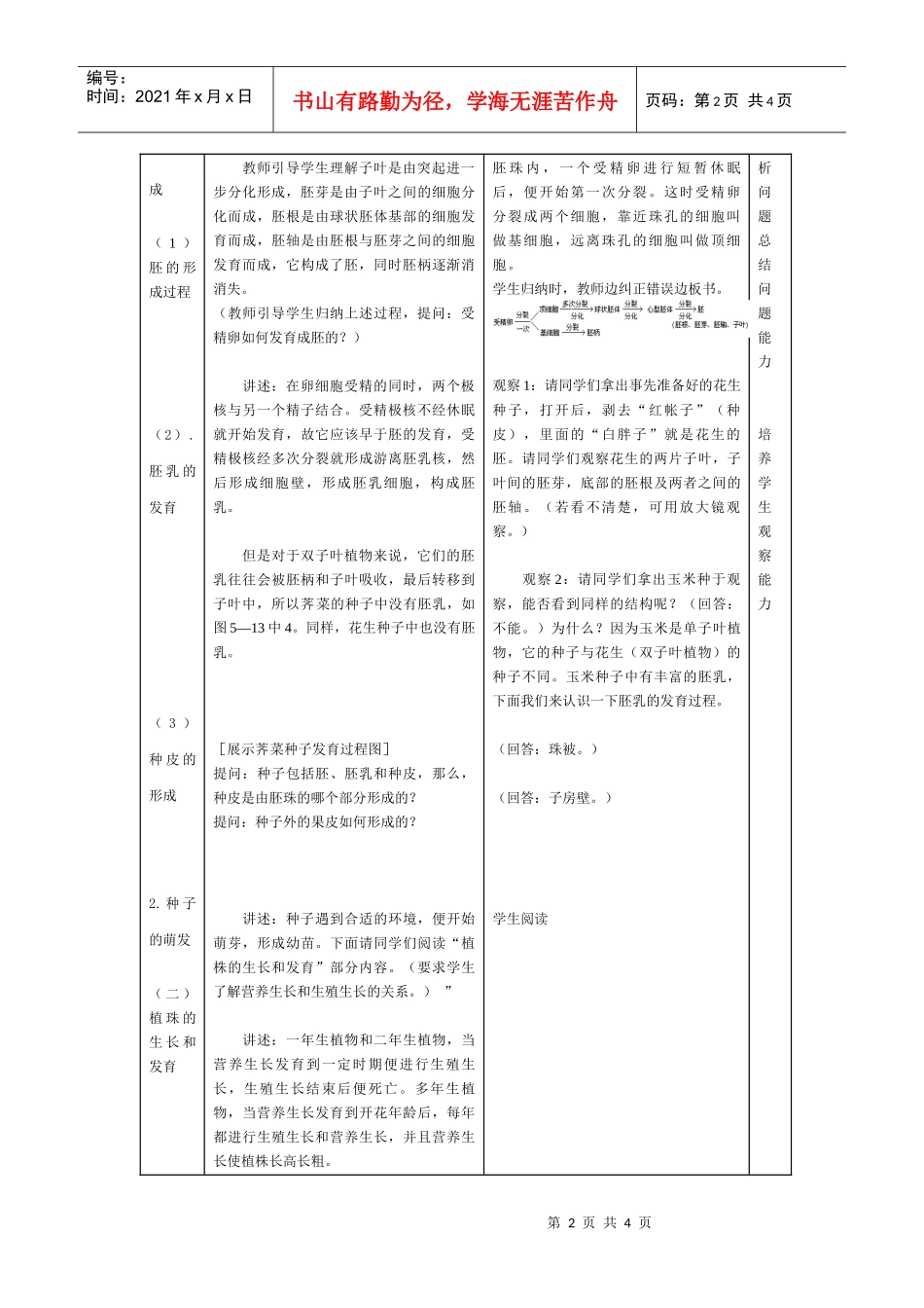 生物的个体发育被子植物的个体发育_第2页
