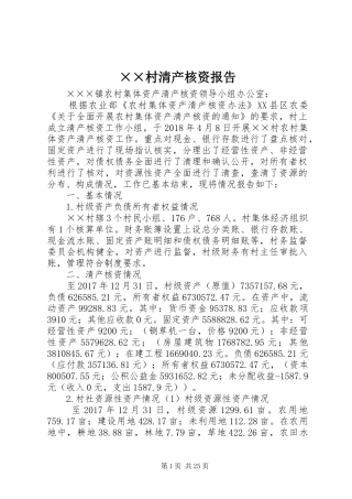 ××村清产核资报告
