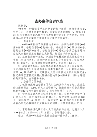 查办案件自评报告