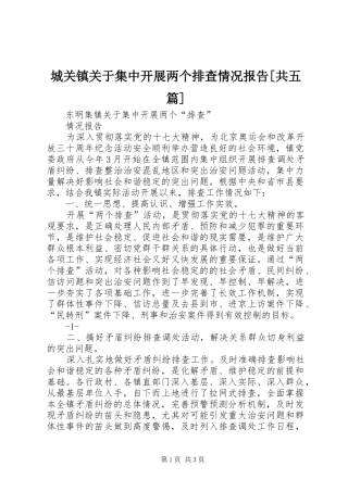 城关镇关于集中开展两个排查情况报告[共五篇]