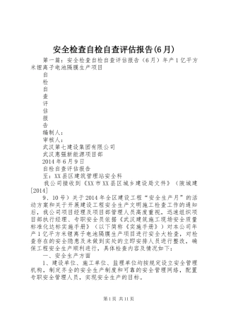 安全检查自检自查评估报告(6月)