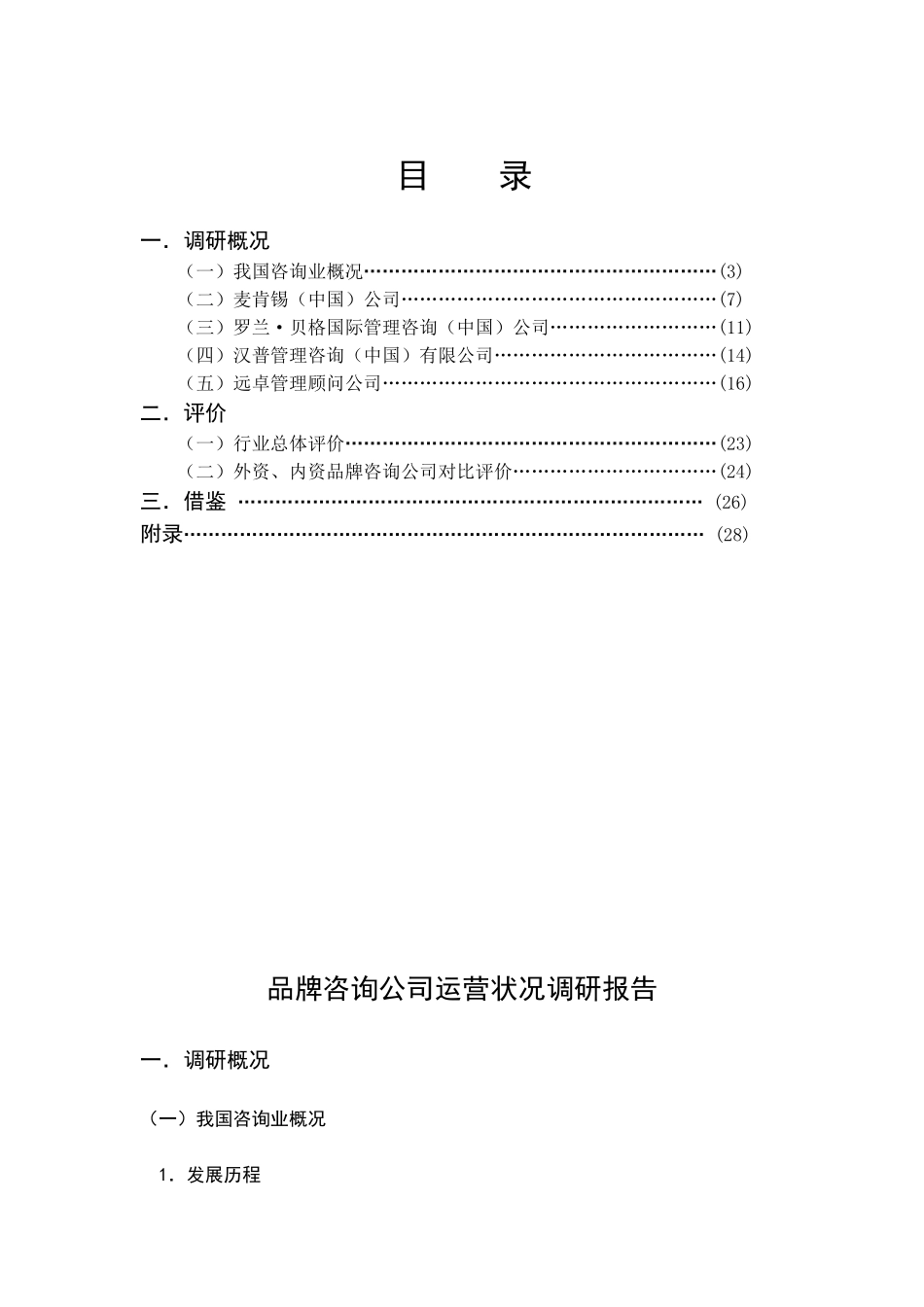 品牌咨询公司运营状况调研报告_第3页