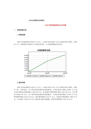 某集团公司年度财务分析