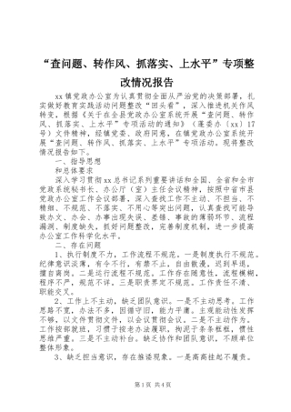 “查问题、转作风、抓落实、上水平”专项整改情况报告