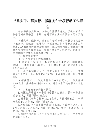 “重实干、强执行、抓落实”专项行动工作报告