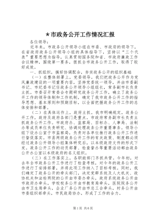 ＊市政务公开工作情况汇报