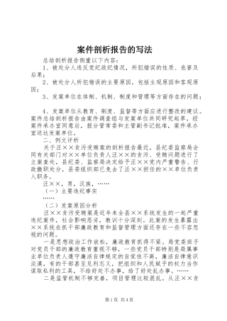 案件剖析报告的写法