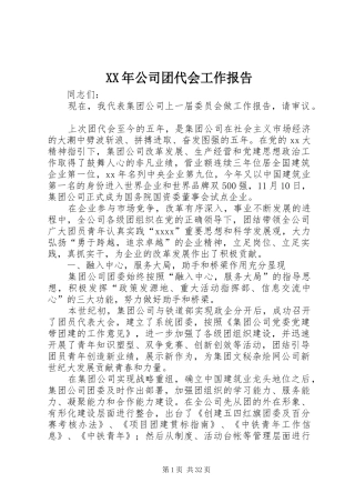 XX年公司团代会工作报告