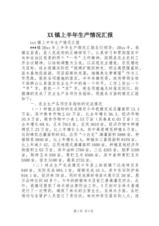 XX镇上半年生产情况汇报