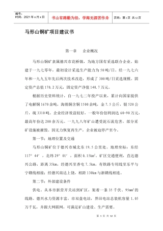 马形山铜矿项目建议书