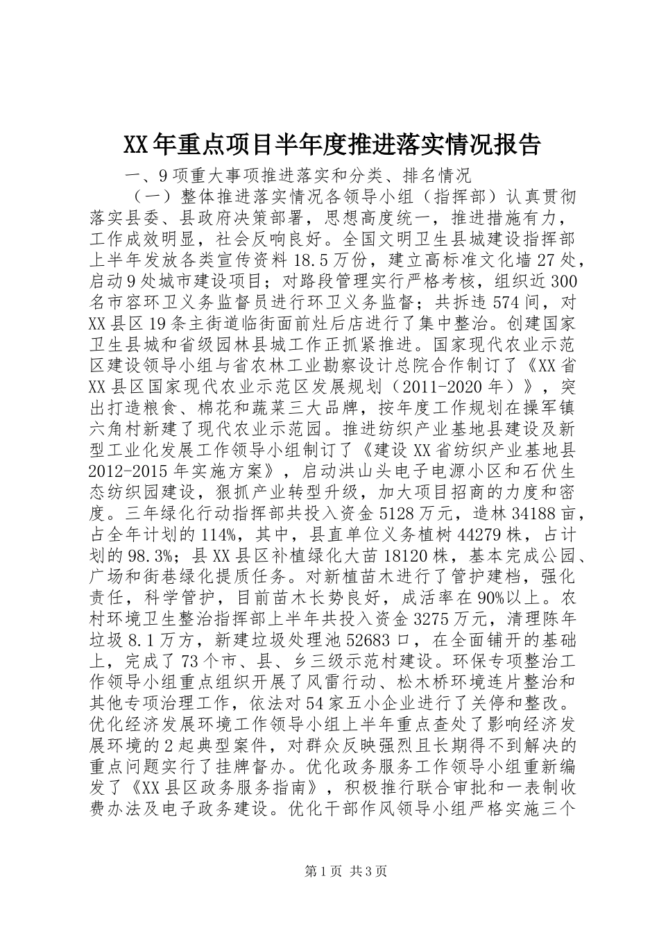 XX年重点项目半年度推进落实情况报告_第1页