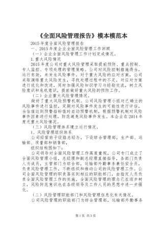 《全面风险管理报告》模本模范本