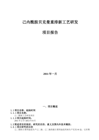 己内酰胺贝克曼重排新工艺研发报告