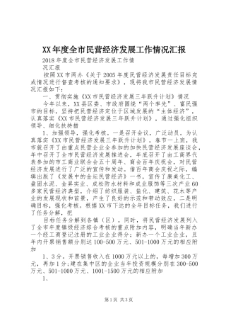 XX年度全市民营经济发展工作情况汇报