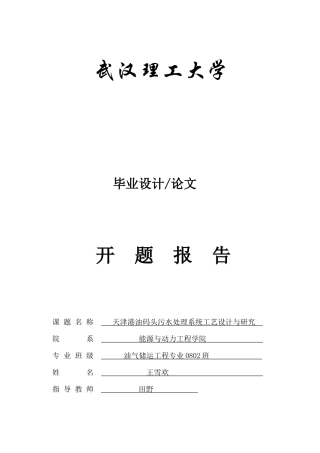 开题报告 王雪欢20120306
