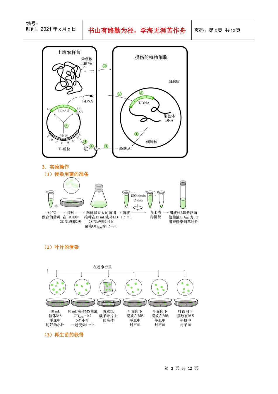 生物技术实验技能训练课-北大生命科学学院_第3页