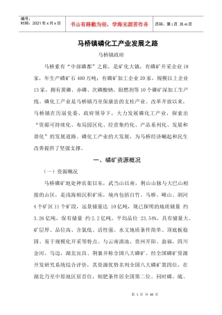 马桥磷化工产业发展之路(修改后)(1)