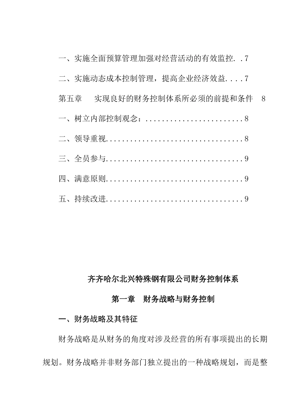 某公司财务战略与财务控制体系_第2页