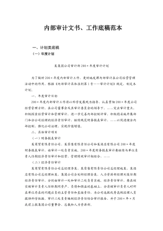 内部审计文书、工作底稿范本