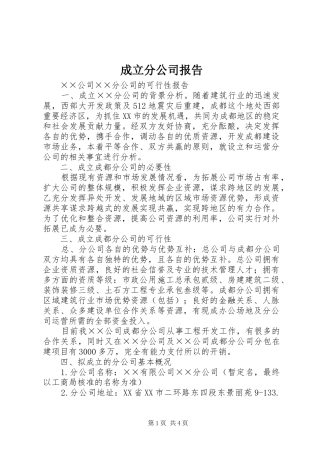成立分公司报告