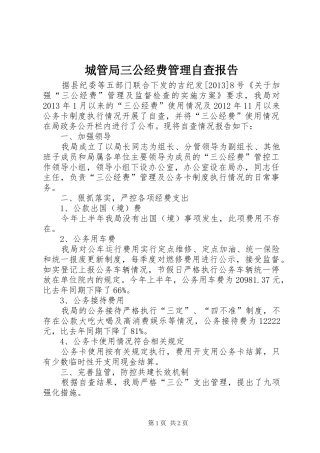 城管局三公经费管理自查报告