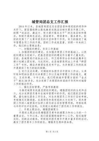 城管局团总支工作汇报