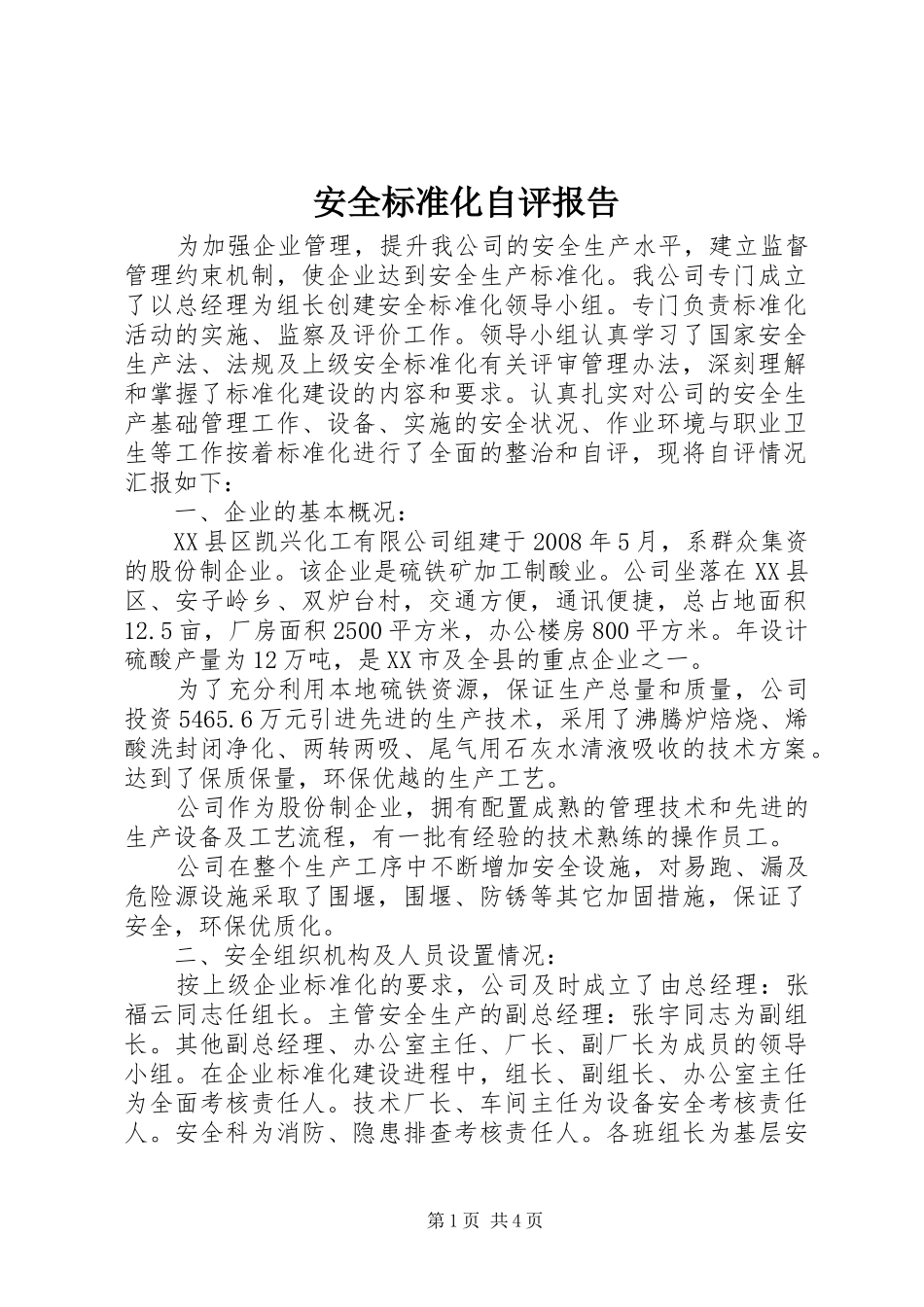 安全标准化自评报告_第1页