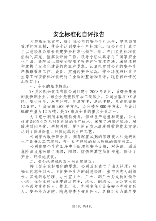 安全标准化自评报告