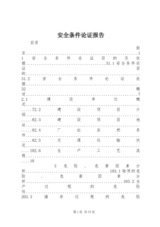 安全条件论证报告