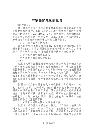 车辆处置意见的报告
