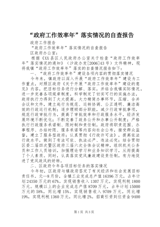 “政府工作效率年”落实情况的自查报告