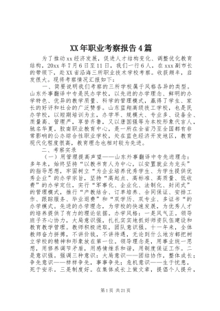 XX年职业考察报告4篇