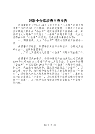 残联小金库清查自查报告