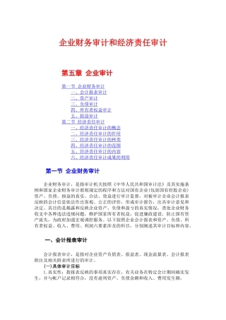 企业财务审计和经济责任审计