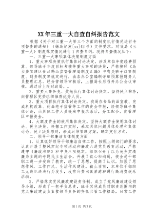 XX年三重一大自查自纠报告范文