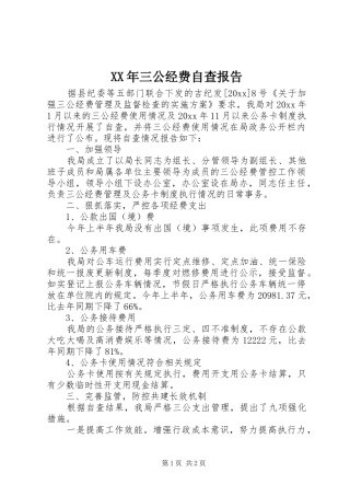 XX年三公经费自查报告